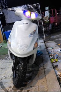 فراشه • شغاله • سلف