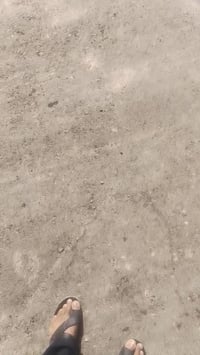 مولدة بيركنز • 60 كيفي