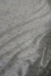 ماطور