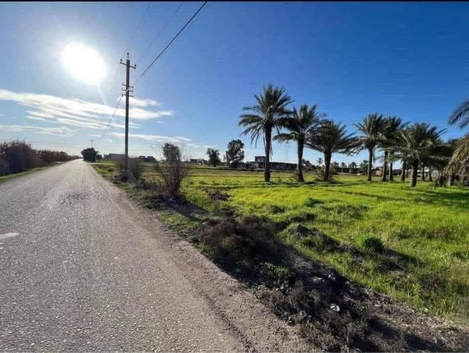 السلام عليكم 
ارض زراعية للبيع مساحتها 2000م واجهه الارض على شارع مبلط الأرض مزروعه نخيل وصالحة للسكن متوفر جميع الخدمات الموقع خلف جامعه بابل 
للاستفسار الاتصال ***********
