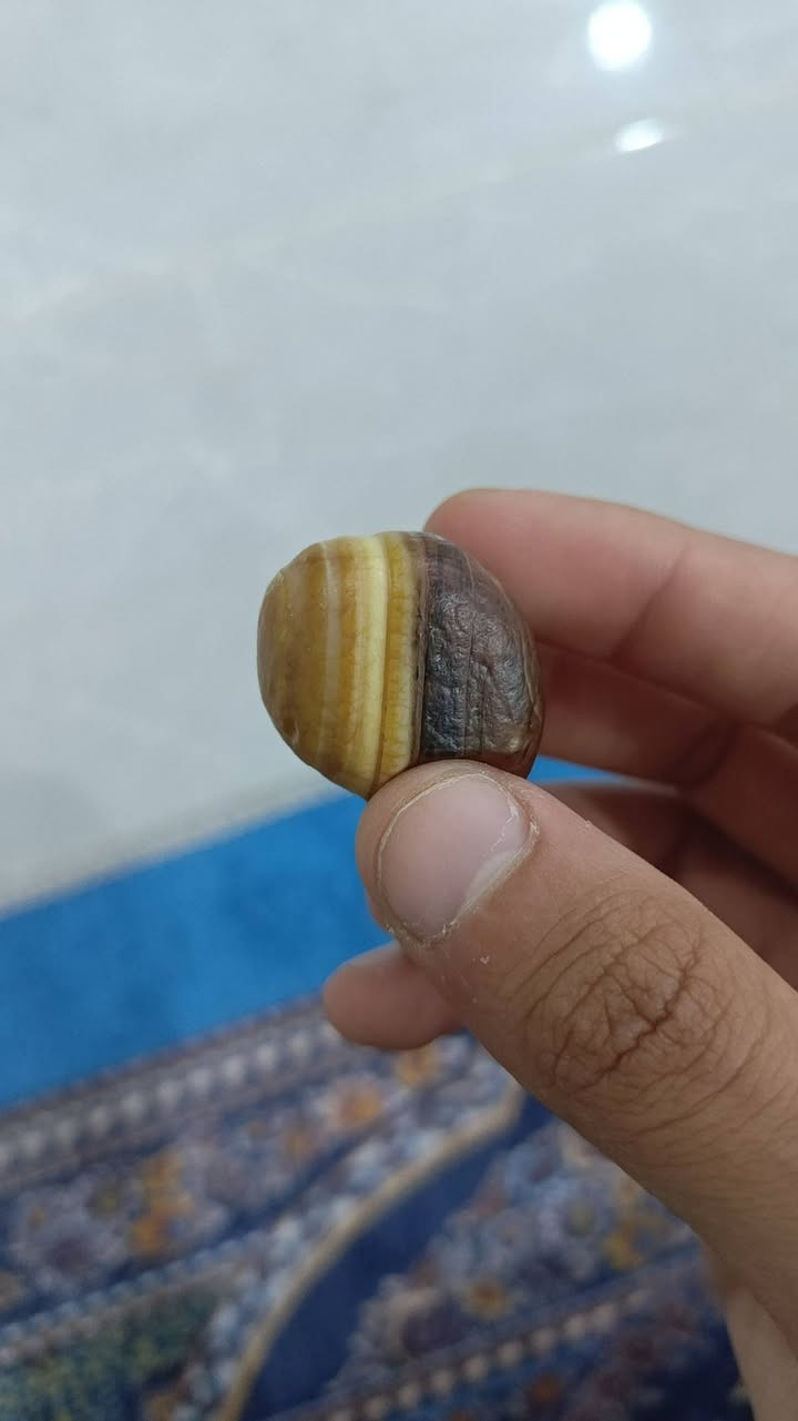 بيع لأعلى سعر.. عقيق مجزع سليماني رباني


**إذا كنت صاحب هذا الإعلان وتريد حذفه لأي سبب، رجاءا أرسل رسالة إلى الدعم الفني**
