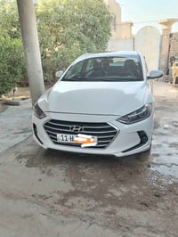 النترا • ٢٠١٧ • كربلاء طويريج