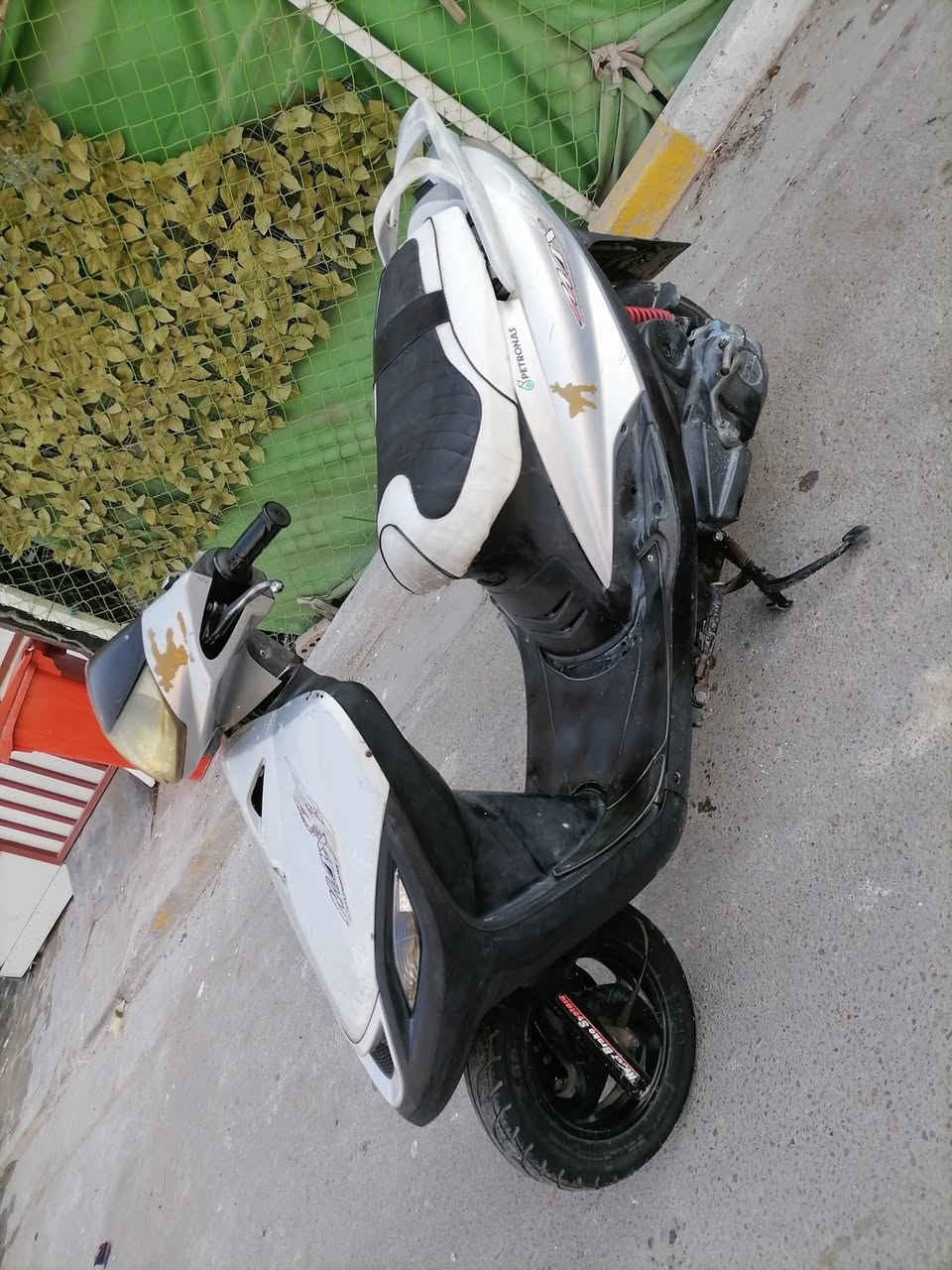 دراجة ماكس 140 كلهة شغالة سلف هندر كهربايات الدراجة اي نقص مابيهة الدراجة مكفولة كفالة عامة جيب وياك فيتر وفحص مكينة خرسة ماتسمع صوتهة السعر 500 المكان بغداد البياع حي العامل الرقم ***********
