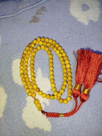 كهرب اصلي بولوني • حر طبيعية • محابس