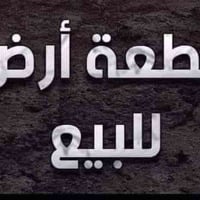 كوفه علوة الفحل • ٦٥٠م • واجهة ٣٠م