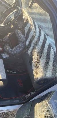 اسبرا • ١٩٩٦ • شرط تحويل