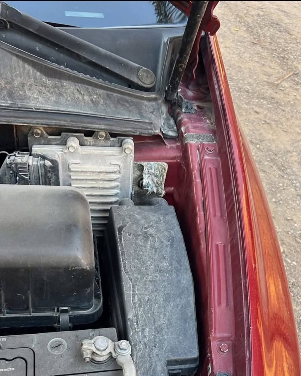 سيدونا مريكي موديل ٢٠٠٩. دخولها كلين بدون حادث بسمي تقريرها عندي بيها رشات صبغ سيارة السعر ١٣٥ وتساب موجود  رقمي ***********  رقمها بغداد
