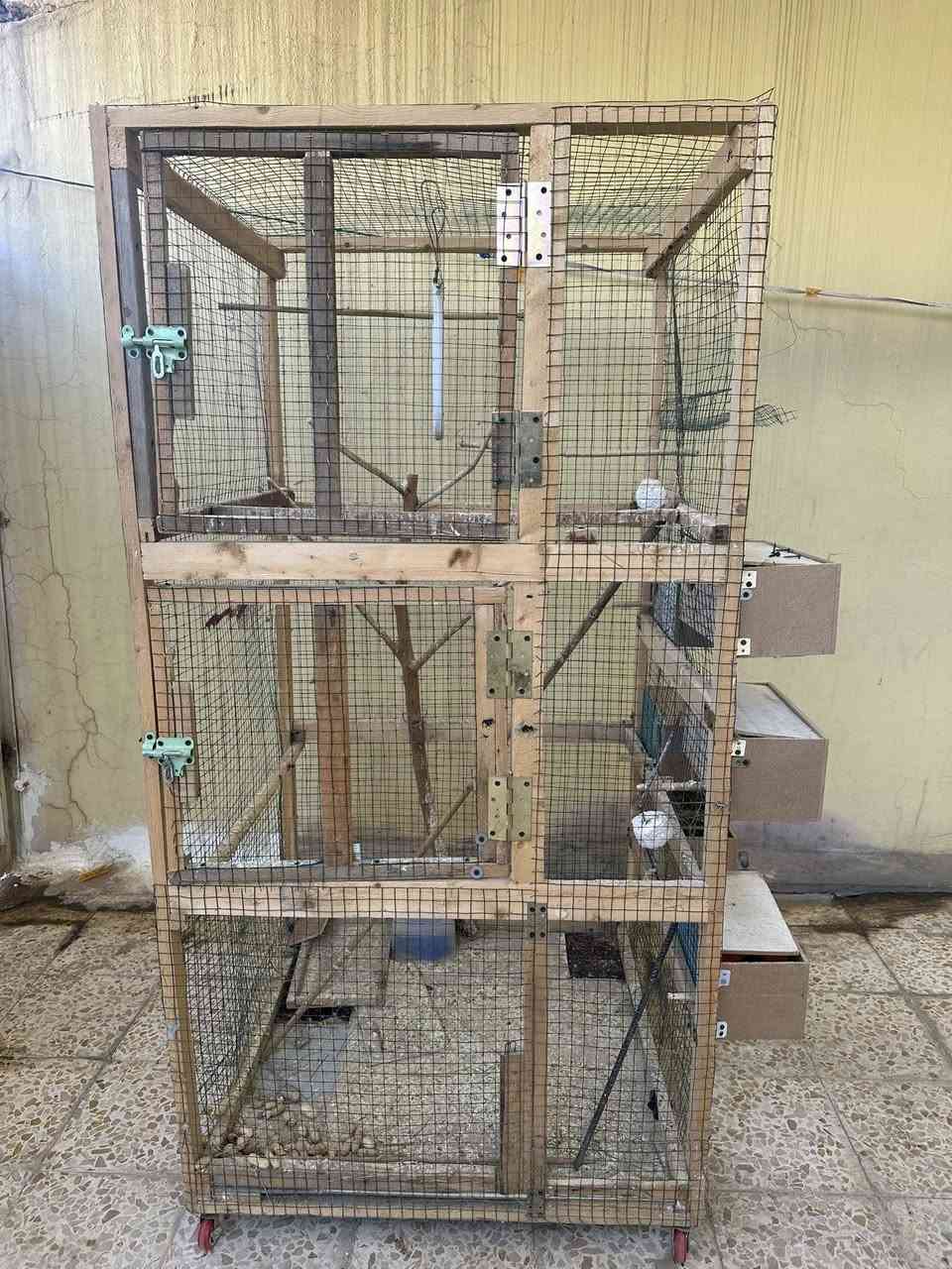 اخوان موجود قفص للبيع
يرهم للجميع انواع الطيور نظيف ومرتب 
بدون خانات سعره وحد 
وية الخانات سعرة وحد 
مكاني كركوك 
ادمين ♥️


**إذا كنت صاحب هذا الإعلان وتريد حذفه لأي سبب، رجاءا أرسل رسالة إلى الدعم الفني**