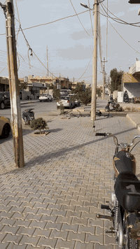 دراجه حربي محرك رابيدو اصلي موديل 23  الدراجه شرط كلها من تاير للتأير سيبايه نامه اصلي الثكيل كشن اصلي الدراجه تأخذها وتدعيلي السعر 550 بي مجال بسيط  

***********3
