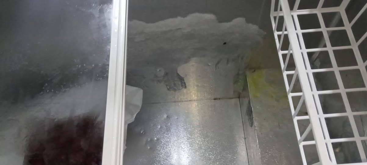 السلام عليكم ورحمة الله وبركاته مجمده مستعمله لمده شهر سته قدم نضيفه بل صيف لاتشيل هم ...مكلف بل نشر 
خاص مفتوح ...
سعر 350.وبيها مجال لشراي 
رقم هاتف ماكو خاص مفتوح ....راسل تدلل


**إذا كنت صاحب هذا الإعلان وتريد حذفه لأي سبب، رجاءا أرسل رسالة إلى الدعم الفني**