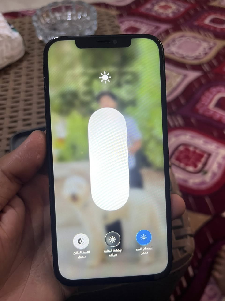 معايا ايفون 12برو مكس خطين مساحه 256 بطاريه 83  ومعا الكرتونه وشاحن.   كان مغير شاشه محتاج ابدل ب 13مكس وتفع الفرق


**إذا كنت صاحب هذا الإعلان وتريد حذفه لأي سبب، رجاءا أرسل رسالة إلى الدعم الفني**