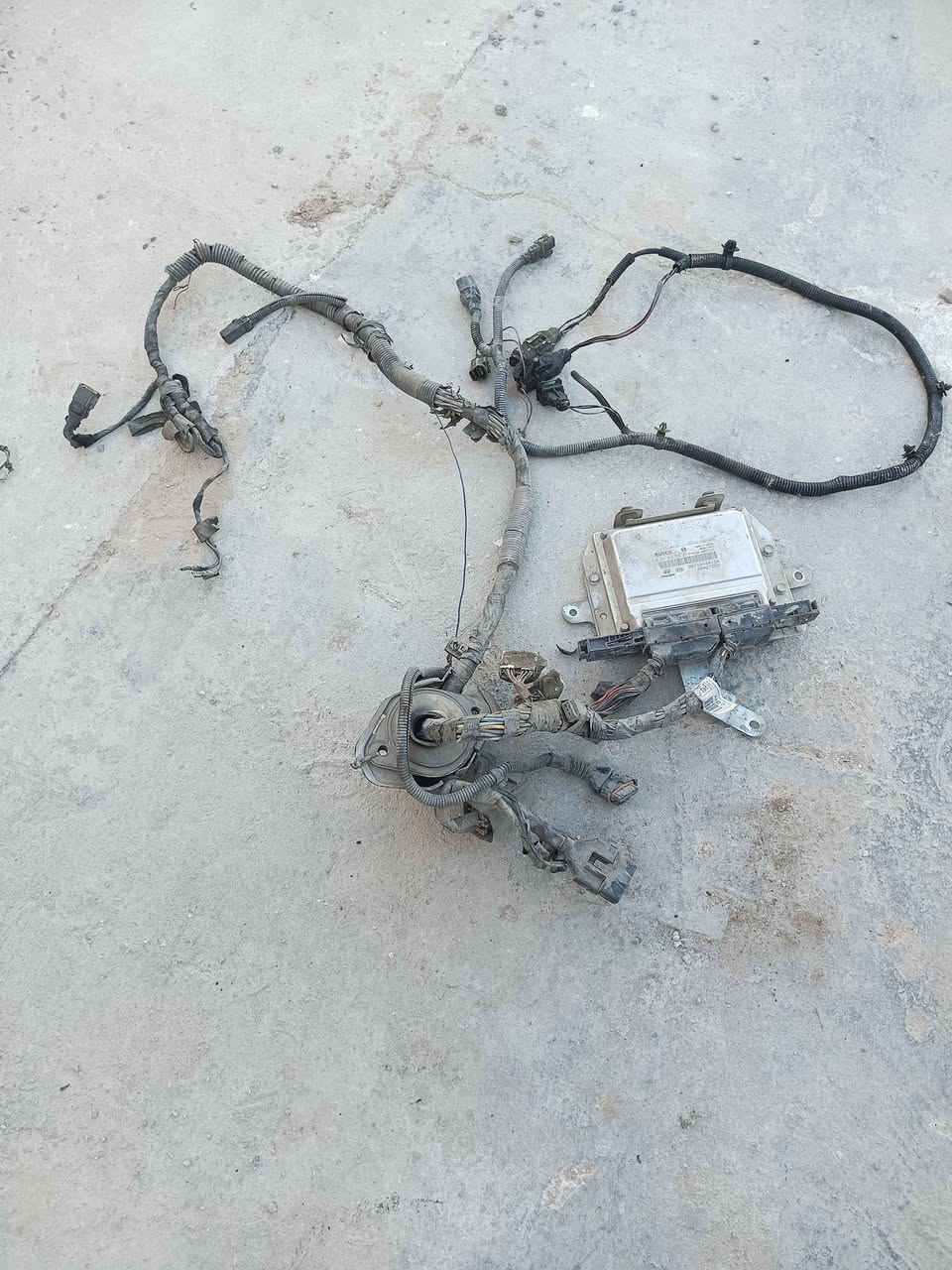 سلام عليكم شباب قراض ستاركس حاويه 2007       ***********.    ***********
