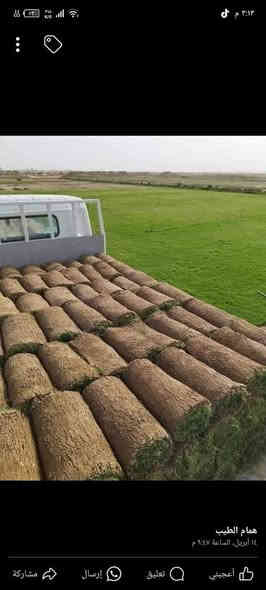 تخفضيات لفترة محدودة (بأسعار مناسبه وتنافسيه ) ✨❤️.                                       

انتاج خاص بمزارعنا.
حيث الجودة والسعر المناسب 

☘ثيل هندي إيطالي فرنسي طبيعي نوعية ممتازة🍀 
مناسب للاستخدام في ( المنازل🌳_ الحدائق🌳_ الملاعب🌳_ الدوائر🌿وتجهيز المشاتل) 

#سعر_تنافسي

✨ سعر المتر يختلف للكميات الكبيرة ✨

يوجد خدمة توصيل لجميع محافظات العراق 

#ملاحظة : التوصيل مجاني ❤️

(مستعدون لتجهيز الحدائق المنزليه و الملاعب الرياضيه و المنتزهات و الدوائر الحكومية بكادر مختص مميز يجيك لباب بيتك #بأسعار #تنافسيه )
🍁لمعرفة سعر المتر المربع التعليق ب "تم" سوف تصلك رساله 
🍁للاتصال او الاستفسار متوفر مفتوح طوال اليوم
***********
***********
