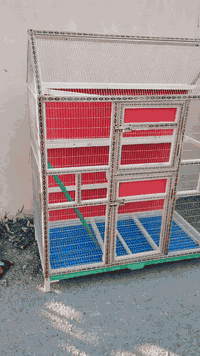 قفص بلابل • ١٢٠×٦٠×١٥٠ • ديالى شهربان