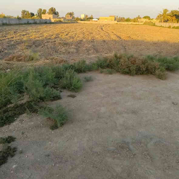 للبيع 5 دوانم واجهه 65م ع شط الدغاره مباشر سند 25 بيها ماطور عدد 2 واجهه ع الشط تبعد كيلو ونص ع سوق الدغاره
***********
