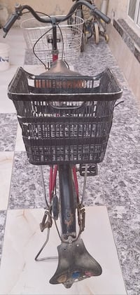 ياباني اصلي ٢٦ • أطفال ٢٠ • بعقوبة المفرق