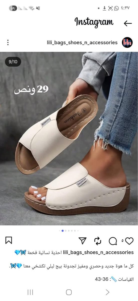 شلعة 25مع التوصيل


**إذا كنت صاحب هذا الإعلان وتريد حذفه لأي سبب، رجاءا أرسل رسالة إلى الدعم الفني**