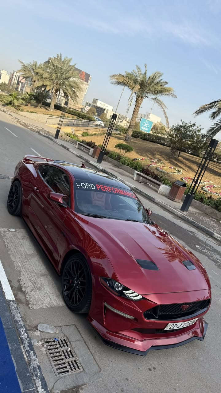 موستنك GT 2022 بريميوم تراك بكج Pp1
سلام عليكم فورد موستنك GT 2022

من فئات قليله بل عراق تجي كشنات ريكارو وسقف كنتار اصل من امريكا راديتر اكسل صدر ودبل كهربائي يختلف فجوج 6 بستم وليس اربعه نفس مال جي تي بقيه فولل اعلى شي تجي بل مواصفات

مكينه (8سلندر) 5000cc

كير اوتو (10)نمر

ماشيه(30 الف)ميل

مكان (بغداد-الحارثيه)

لون (كرزي مميز)

رقم تلفون (***********)

السعر (238ورقه) ومجالها كلش بسيط

رقم اربيل الجديد فحص هزة جديد وسنويه باسمي تحويل ثاني يوم يعني ما تحير بصوت اكزوز لو وشومات لن هزة جديده

سياره حادثها ربع جاملغ امامي وربع بنيد  جاملغ مبدل وكالة بدون معجون وبدون صبغ نفس لون

(قطعه وحده صبغ فقط بنيد) بدون دواخل كفالة من جكه الابره ايرباك راجع سستم لا راديتر لا مروحه ايشي يخص مكينه مواصلته ضربه نهائي وصور الحادث بل منشور

وساحب تقرير  كار فاكس مالتها  بفلوس ايضاً ما بيها اي حادث مسبق ب امريكا او غرق الي يحب راسلني واتس ادزهله تقرير

سياره كير مكينه اكسل كاردن صدرها بحالة الوكالة برغي ما مفتوح بيها بجم كبس البراكيته اماميه حتى ضربه مواصلتها

سياره من دخلت حد الان مسويلها ادامة وصيانه كامله بشركة  فورد القاصد دهن  وفلتر دهن و فلاتر شوته و تبريد كلة وكالة اصلي

دشبولها ماكو اي كلوب معتلك كله صافي

نجي على مواصفات فول 1/1

١- تشغيل عن بعد

٢- شاشة كبيرة sync 3 كار بلي

٣-اكتف اكزوز حسب المود تفتح بوابات(نورمال-سبورت-تراك)

٤-فجوج بريمبو 6بستم

٥-عداد ديجتال يتغير ثيم حسب المود

٦-دمام صوت بل صندوك وكالة

٧-تحديد مسار

٨-رادار امامي

٩-رادار جانبي(نقطة عمياء)

١٠-رادار خلفي

١١-حساسات خلفيه

١٢-كامرة خلفيه

١٥-ستيرن تدفئه هيتر

١٦-خمس وضعيات قياده(نورمال-سبورت-تراك)

١٧-ترحيب بل مرايه

١٨-هيترات بل مرايه

٢٠-سستم سماعات

٢١-لايت زنون ابيض من وكالة

٢٢-شعار الموستنك ضوئي من الابواب بلادي

٢٣-شعار موستنك ضوئي متغير بل دوسات بلادي

٢٤-كيجات تراك بكج (اويل برشر) و( فاكيوم) بل دشبول

٢٥-كشنات جلد

26-سترس بار فوك مكينه من وكالة

