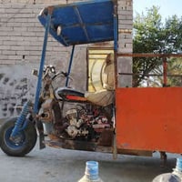 ستوته • شغاله • القرنه