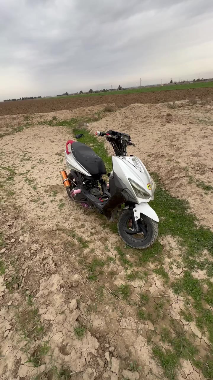 دراجه ماكس اف اس 120بوشه 55صالصنه توبو شيال رياضي كابريته قفاز ويا ثنين بلادي شرط مامفتوح برغي كهربائيات كله شغال نكره سلف ب 350وبيها مجال حك الجيه موجود رقم فقط ***********
