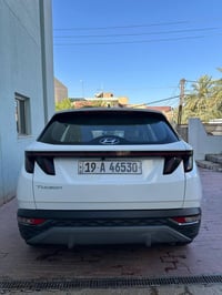 توسان • ٢٠٢٤ • كربلاء