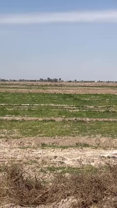 السلام عليكم عندي هاي الارض 5 دونم طابو زراعي سند 25 تبعد عن الشارع العام 200 متر وبصفها شارع فرعي في منطقت الزيدان المحمودي سعر الدونم 40 وبي مجال للشراي يتفضل خاص


**إذا كنت صاحب هذا الإعلان وتريد حذفه لأي سبب، رجاءا أرسل رسالة إلى الدعم الفني**