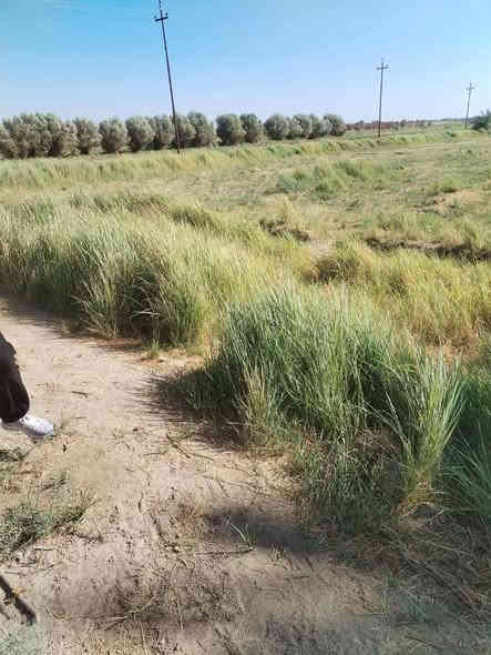 قطعه سند زراعي 25 اطراف البستان 989 متر ترهم مزرعه وترهم سكن كهرباء ومي واصلها مكانها الشهابي الاولى خلف معمل الحراريات السعر
14 وبيها مجال بسيط 
***********
