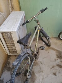 باسكل جبلي • زيتوني • حي الفارس