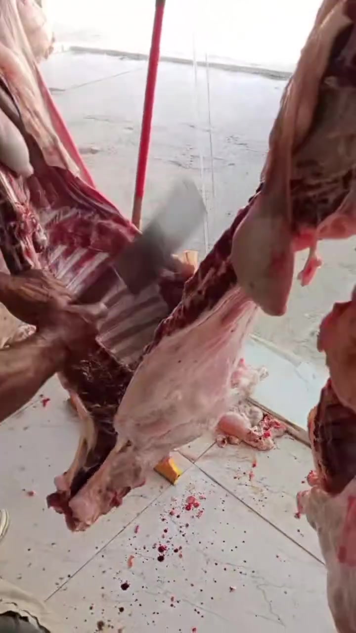 أسعار أللحوم 🐑🐄ليومنا هذا
لحم غنم عراقي ذبح اليوم .........20 ✅️

لحم عجل عراقي ذبح اليوم.✅️

لحم عجل مفروم  ...............16 ✅️

لحم شرح ....................16 ✅

ليه غنم…………….20.000 ✅

للطلب والاستفسار التواصل ☎️

***********📞

يتوفر لدينا خدمة توصيل 🚚
