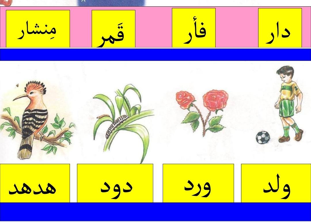 كراسة لتعليم قراءة الصف الاول الابتدائي
الفصل الاول موجود ملف pdf كامل على قناتنا على التلكرام على شكل ملف pdf على الرابط ادناه
https://t.me/fgdrhfd3265
شارررررررررك للفائدة


**إذا كنت صاحب هذا الإعلان وتريد حذفه لأي سبب، رجاءا أرسل رسالة إلى الدعم الفني**