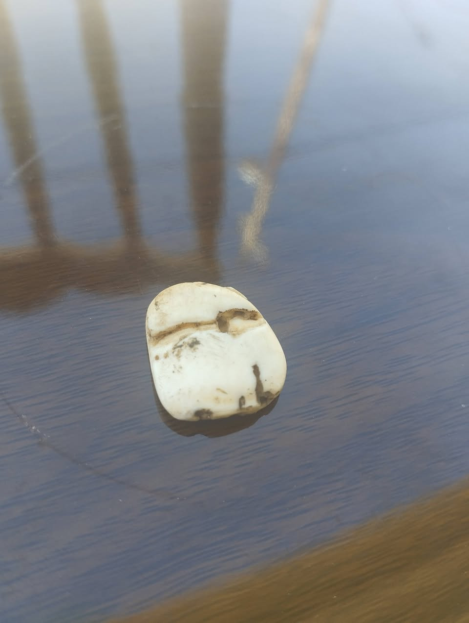 عطف بحري مطلسم قديم للبيع - مراسلة خاص


**إذا كنت صاحب هذا الإعلان وتريد حذفه لأي سبب، رجاءا أرسل رسالة إلى الدعم الفني**