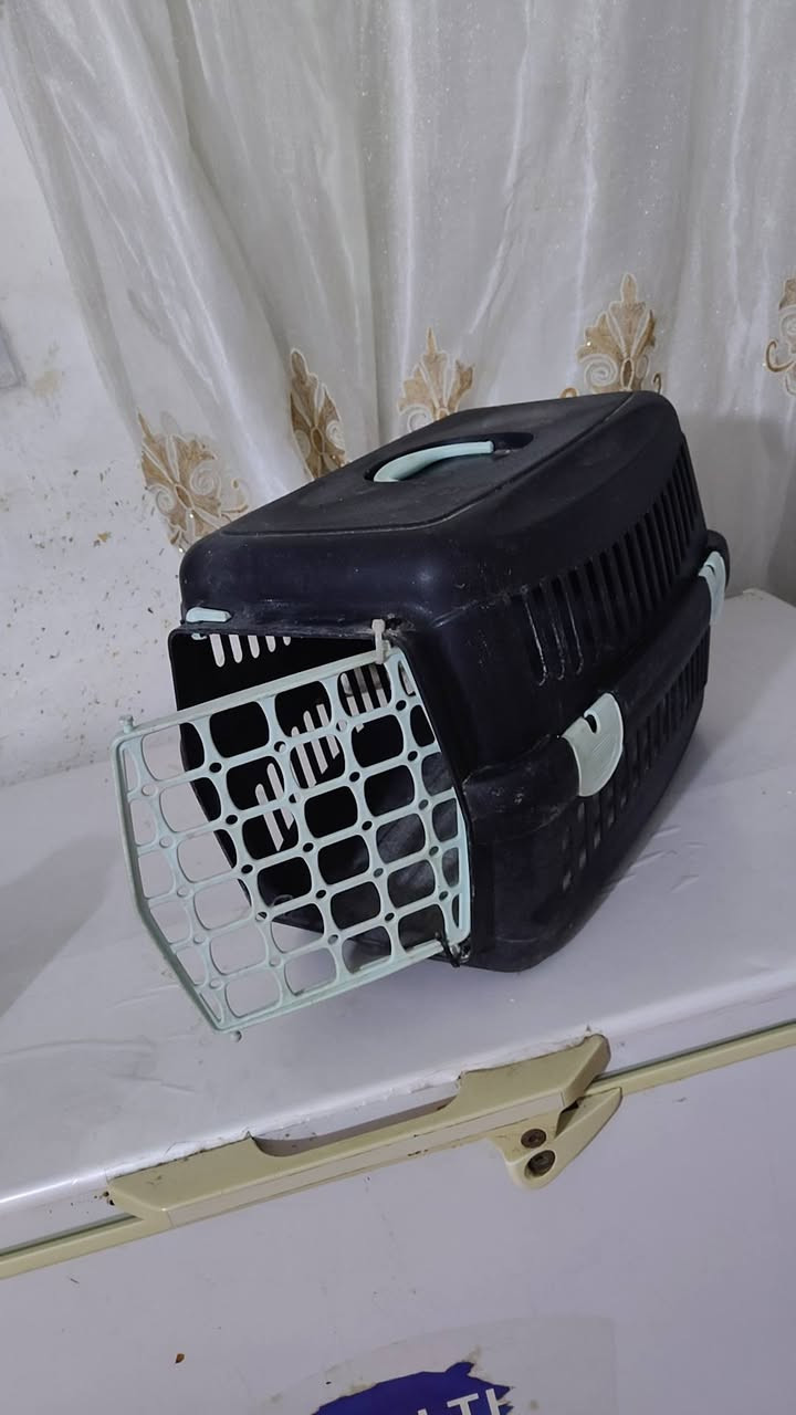 بايسكل للبيع بناتي حجم كبير نظيف للبيع سعره 30 وبوكس للقطط حجم كبير سعره 10 مكانه الحسينيه شارع ابو سمير واتساب ***********
