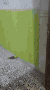 شقة ايجار • ٧٥م • شارع احمد الوائلي