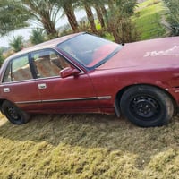 يابانية للمراوس 07813285068