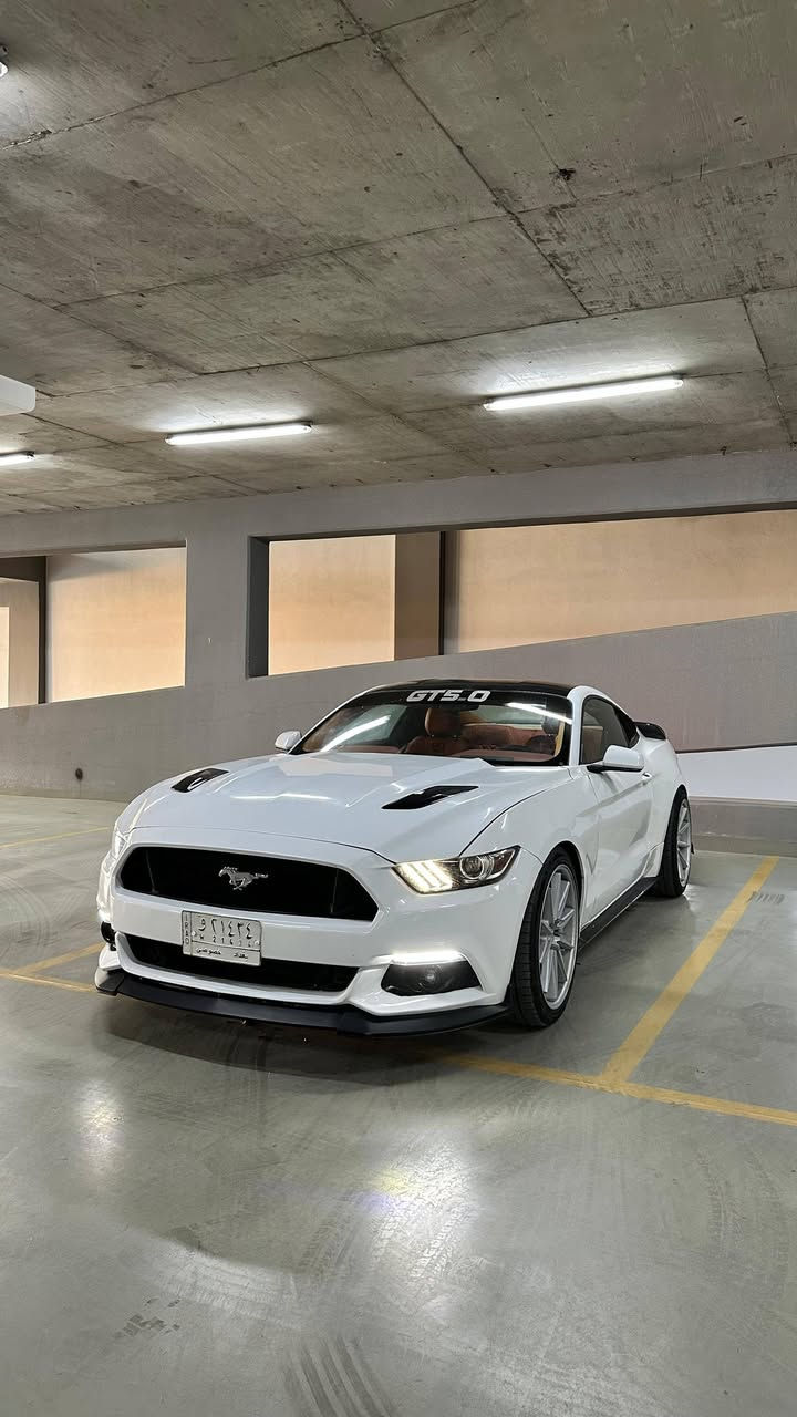 للبيع فقط السعر 108 ورقه 
موستانك GT موديل 2015 رقم بغداد تحويل مباشر 
للاتصال *********** و
محرك 8 سلندر 5000 كير اوتو محرك وكير نظاف 
التبريد شغال 
عليها اضافات .ماشيه 84 الف مايل
بصمه.  شاشه صغيره كاميرا  . تشغيل عن بعد 
كير شفتات بالاستيرن 
تخم تاير جديد صدر نظيف 
وارد امريكي بيها صبغ مكانات 
المكان بغداد الزعفرانية
