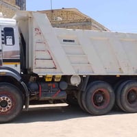كرواتي للبيع 07858145280