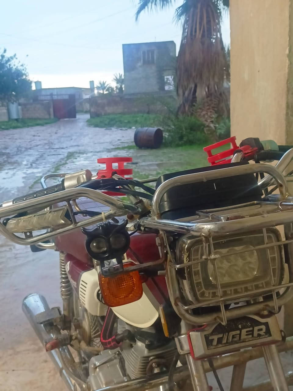 السلام عليكم تايكر 20للبيع السعر 550 وبي مجال
***********
