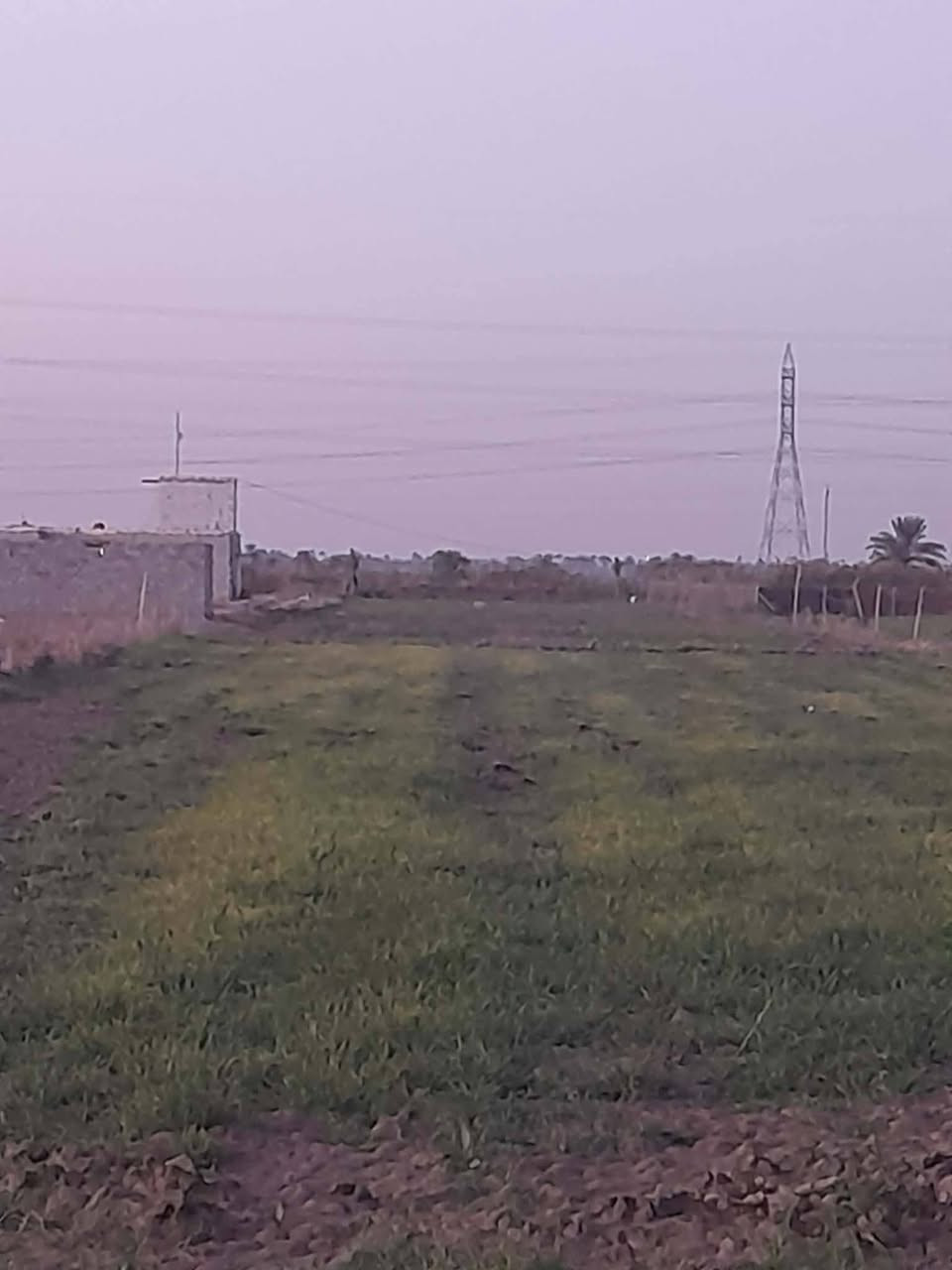 يوجد دونمين زراعي سند 25 مجاورات مجمع النوار شاميه خلف مشروع الماي الارو الجديد  يصلحن زراعه وسكن بيهم سكاي خاص الى زراعه وبيهن ماي خاص الى شرب وكرهباء وتبليط بسم شخص واحد مداور مباشرتن بسم المشتري ال ستفسار ***********
