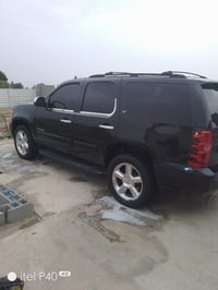 ٢٠١١ • متوم اربيل • كشنات جلد