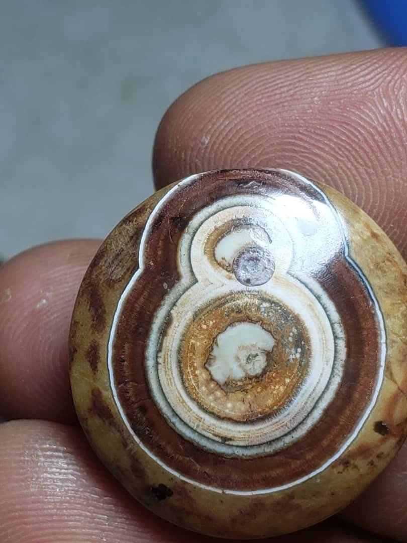 السلام عليكم نوادر داوودي جملة ومفرد ابيع ويوجد توصيل لجميع المحافظات


**إذا كنت صاحب هذا الإعلان وتريد حذفه لأي سبب، رجاءا أرسل رسالة إلى الدعم الفني**