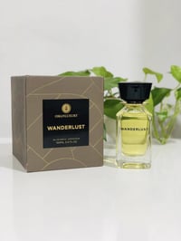 عطور أصلية • مجموعة مستخدمة • توصيل العراق