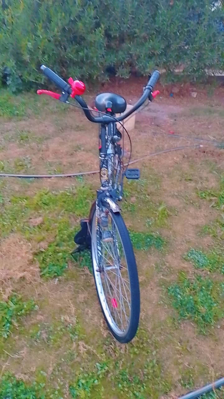 سلام عليكم  باسكل البيع السعر خاص  والشراي بي خير ويدلل مكاني الطيفيه    تواصل  عله هاذه الرقم ***********
