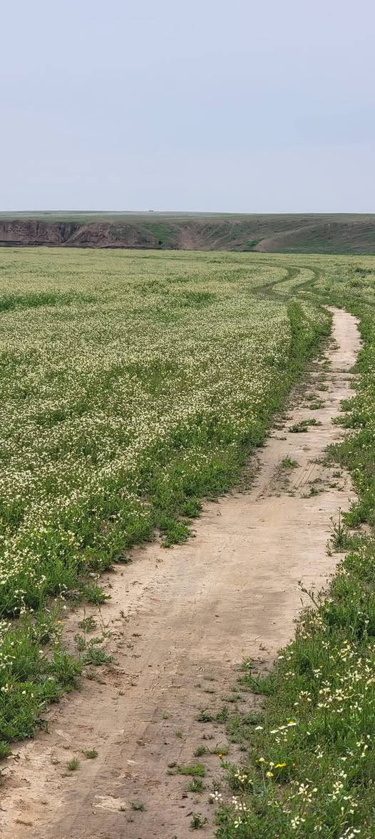 سلام عليكم
العندو غنم ينطيهن بشهر انعجه عل 4الف دينار اني اسرح وبجزيره وربيع ماشاءالله وجزيره مفتوحه ***********
