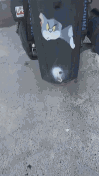 سكنس فحل مصوره من كل مكان الدراجه ناعمه خرسه بيه تزويد جواريب دبل وبيه...