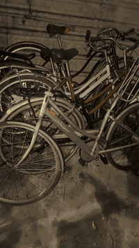 سلام عليكم بيسكلات باله لبيع  اسعار مناسبه تجي وشوف نضافه عنواني بصره كرمه علي *********** تجي تختار تاخذ بيسكل جاهز من تيوب من اي نقص عدد قليل عدي رياضيات عدي طوبه وحساس شنو تريد موجود تريدهن كلهن تريد مفرد تريد جمله شنو تريد موجود اسعار تبدي من ٦٥الى ١٠٠كله واحد اجدد من لخ
