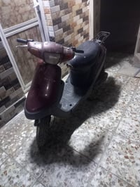 بطه • فحل • كابريتر