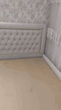 سلام عليكم سرير نفرين شغل يد تفصال نجاره فول احطاطه داخل سرير صوميه  كلش قوي راس سرير جلد اصلي  بدون دوشك قياس سرير 180/200 صاحبه مفصله 300 الف هسه معروضه 175  ويا توصيل وشد فقط خانقين جلولاء قره تبه سعديه الف العنوان كلار شراي اتصل على رقم بى واتساب هم ***********
