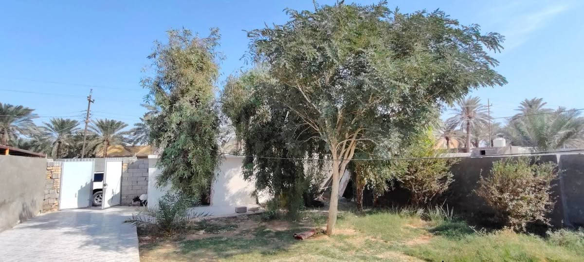 يا الله دار للبيع مساحه 1000 متر حي الحكيم الثانيه قرب السيطره الجديده بناء طابوق يتكون من غرفتي النوم هول صالح مطبخ كراج حديقه على نفس النزله شارع 20 متر قرب الشارع السعر 53 وبيها مجال للشره
الاستفسار مراجعه مكتب دلالية حسن البيضاني  رقم المكتب ،،،،***********
عنوان المكتب حي لحكيم قرب سيطرة القديمه للاعلان عن عقاراتكم  أو المراسلة على الصفحة أو إرسال 
العرض ع الواتساب  
ليس لنا الحق برفع سعر العقار أو خفضه عملنا يختصر على تقديم أفضل الخدمات العقاريه وترويج العقارات ونشرها ع مواقع التواصل الاجتماعي على حسابي الخاص على الفيس بك توجد مجموعة عقارات تجارية سكنية دوانم زراعية مستعدون بيع وشراء العقارات نستقبل كافة العروض الزراعيه والطابو في مدينة الكوت
رقم المكتب          حسن البيضاني.     ***********
