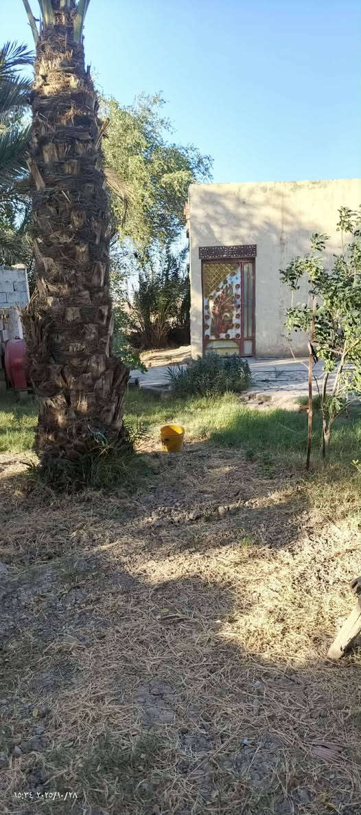 سلام عليكم بيت لبيع مسحته 600على طريق لمجر عماره قرب بنزين خانه جنه الجنوب
لاستفسار ع الرقم(***********)🏠
