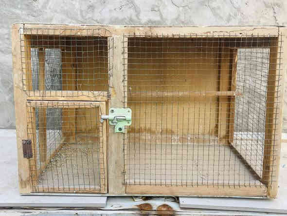 سلام عليكم متوفر قفص عدد واحد وخانه عدد 3مكان بل حله ***********
